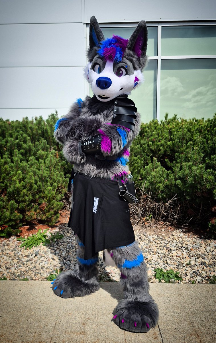 Your fluffy knight has arrived ⚔️

📸 : Xero 

#FursuitFriday