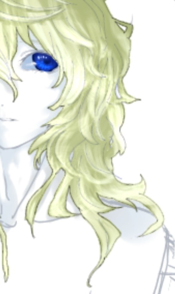 ｷﾗｻｷﾞ tweet media