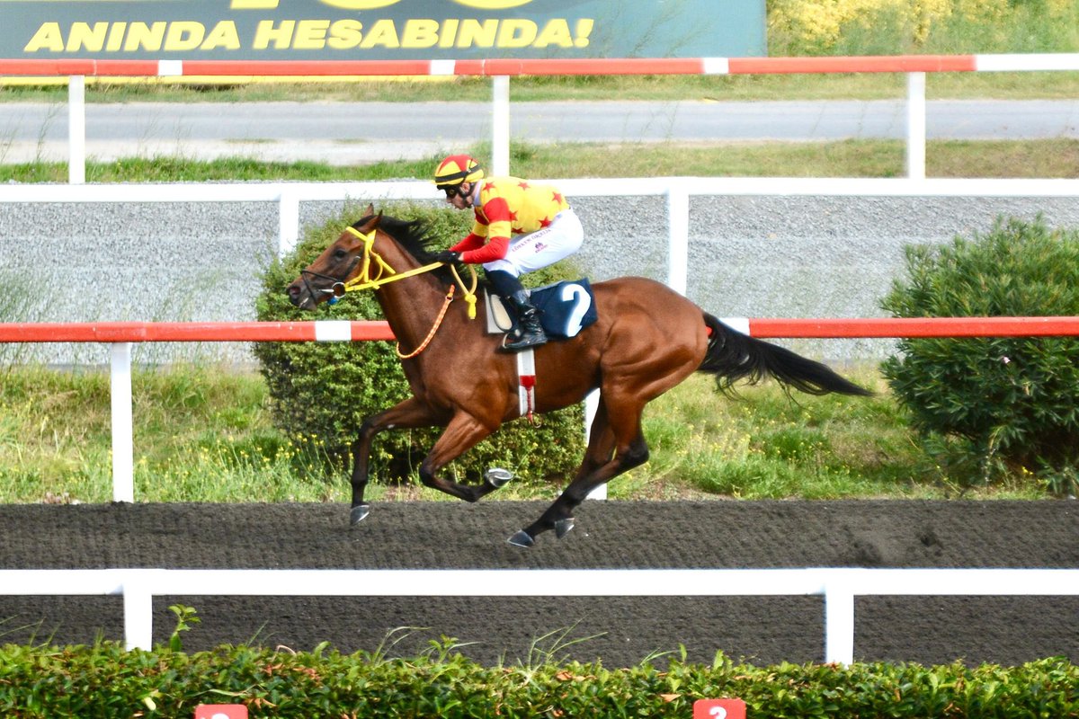 #mrdodo
<a href="/Gorkem_ozcelik4/">Görkem Özçelik</a> 
Dolar babaaa