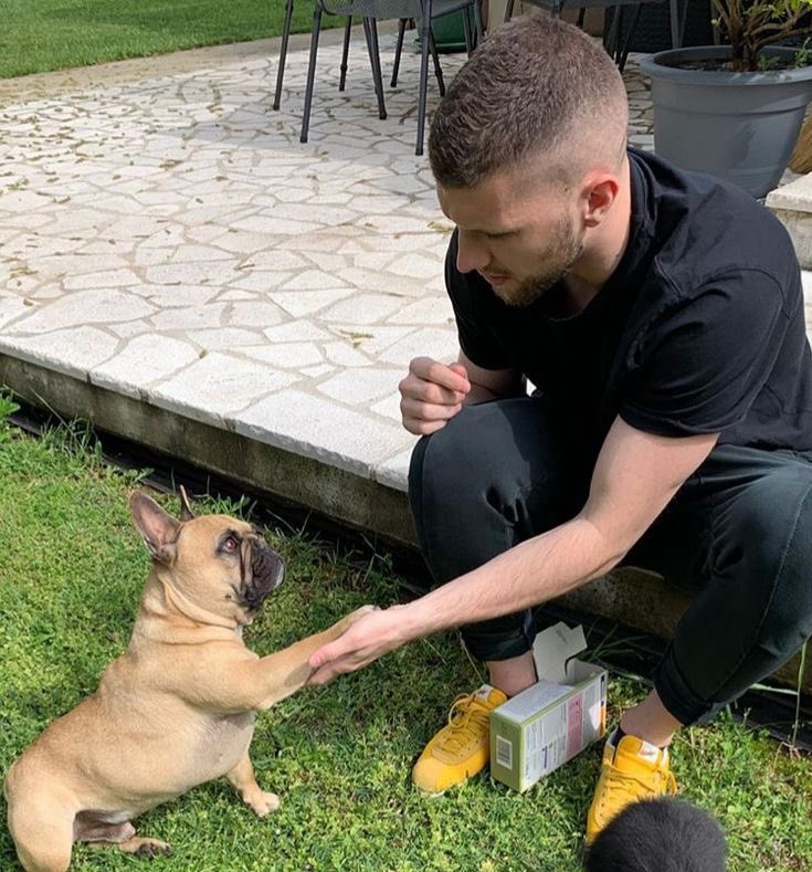 IvanMCML's tweet image. Postavljam slike Ante Rebića dok ne zabije prvijenac za Hajduk.
DAN: 50 
Ovako ce se sutra rebinho igrat sa dinamovom obranom..
SUTRA JE TAJ DAN