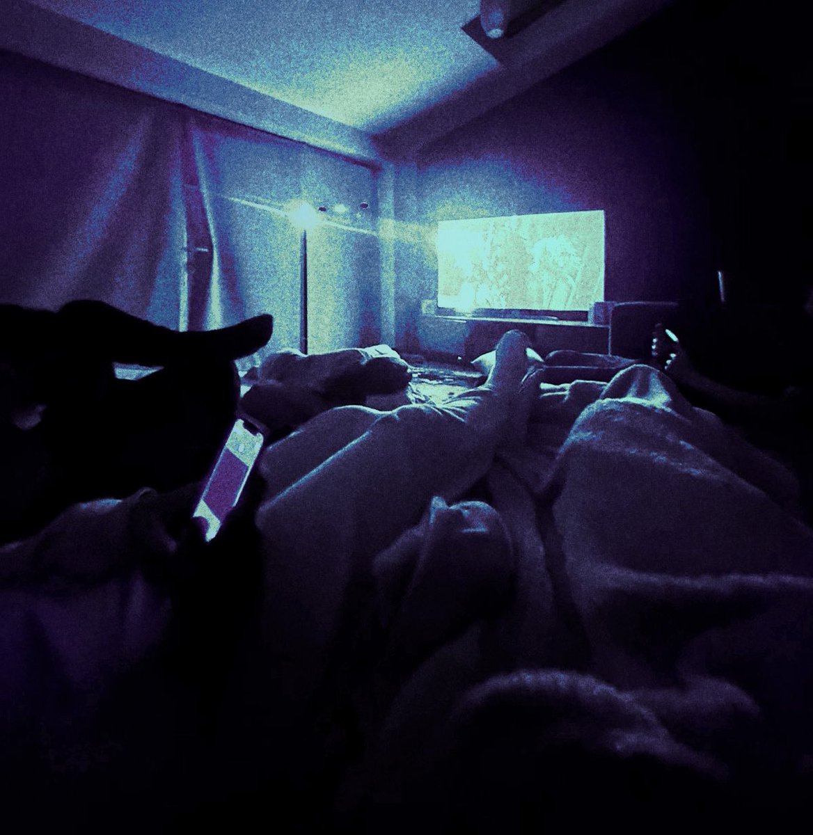 pascalbrouun's tweet image. #wavecore 

harry potter gecesi en başta aşırı eğlenceli bir fikir gibi gelse de kısmen benim dikkatim ilk 20 dakikadan sonra dağıldı. arada bir yerlerde de uyudum ama sonuna yetiştim!!