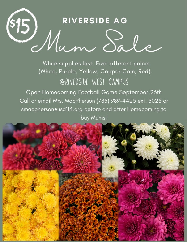 Reach out to Mrs. MacPherson to support the Riverside FFA and purchase a beautiful mum!