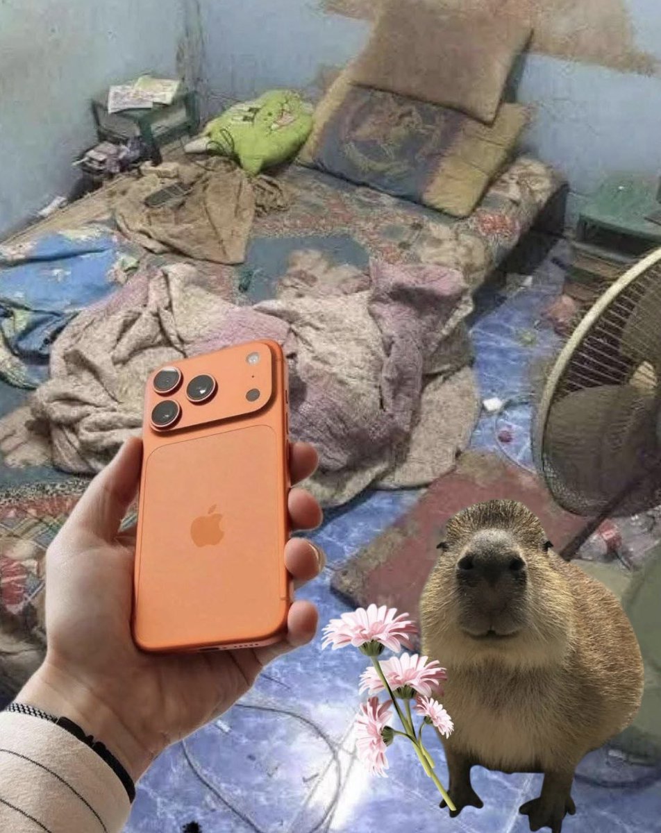 capy (@capyonbonk) on Twitter photo 