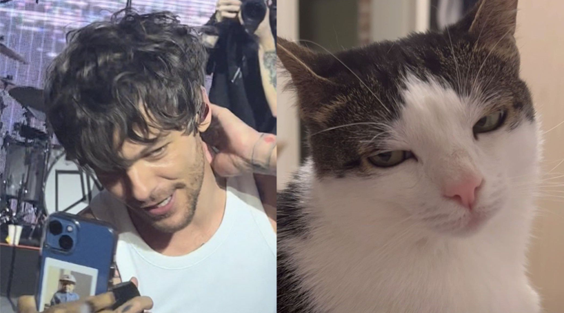 catlouis91's tweet photo. okay divas https://t.co/GbacpGOHRT