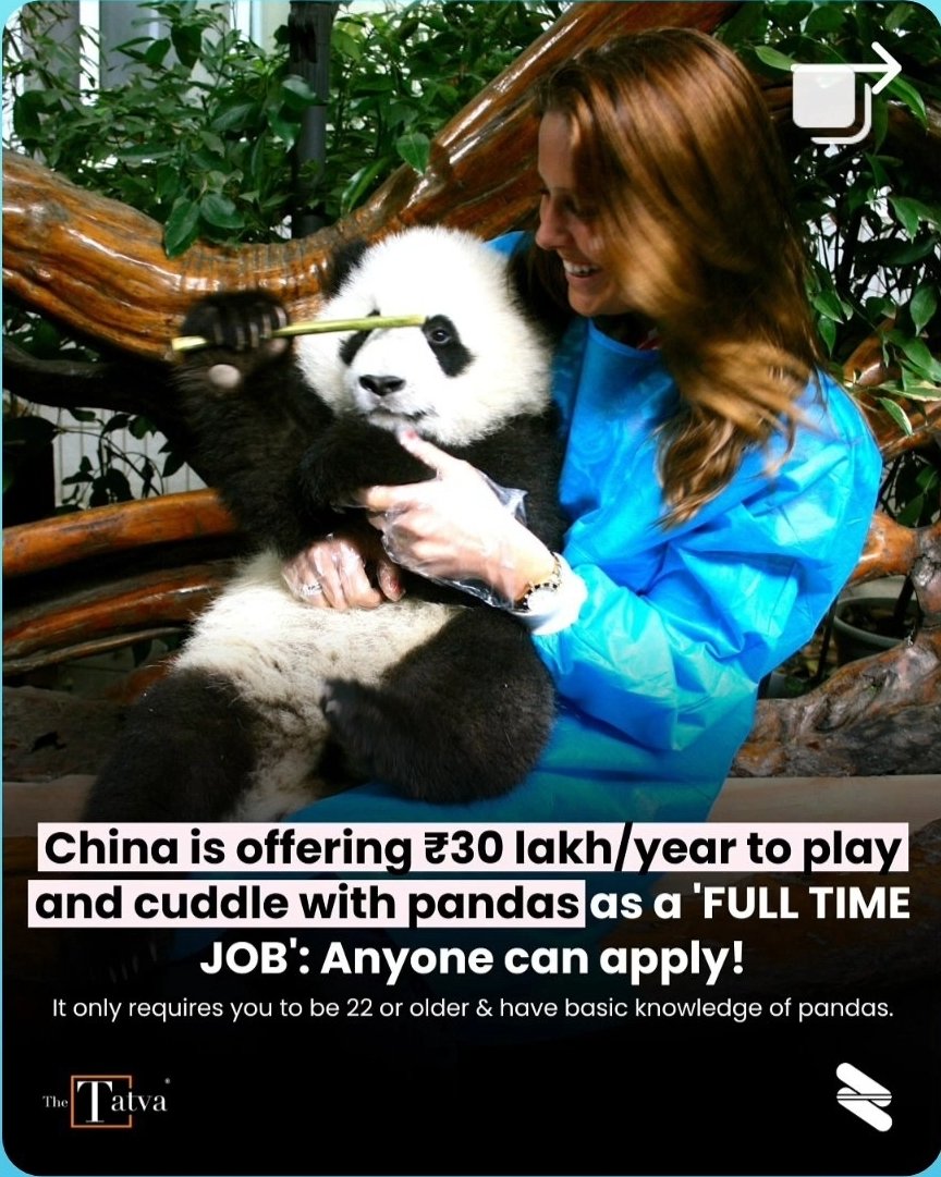 Will my knowledge of Pandas from Kung Fu Panda movies count?