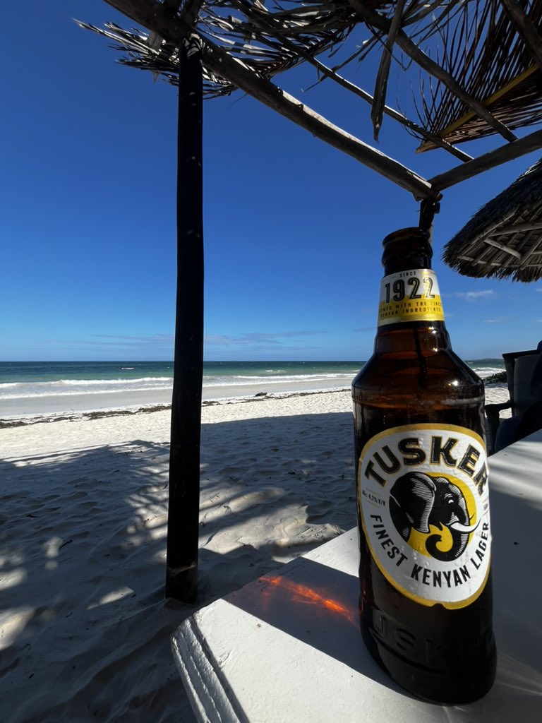 Beachside vibes in beautiful Kilifi 🇰🇪 ❤️ 
Tomorrow we go hunting for the Big 5!!!
#bucketlist