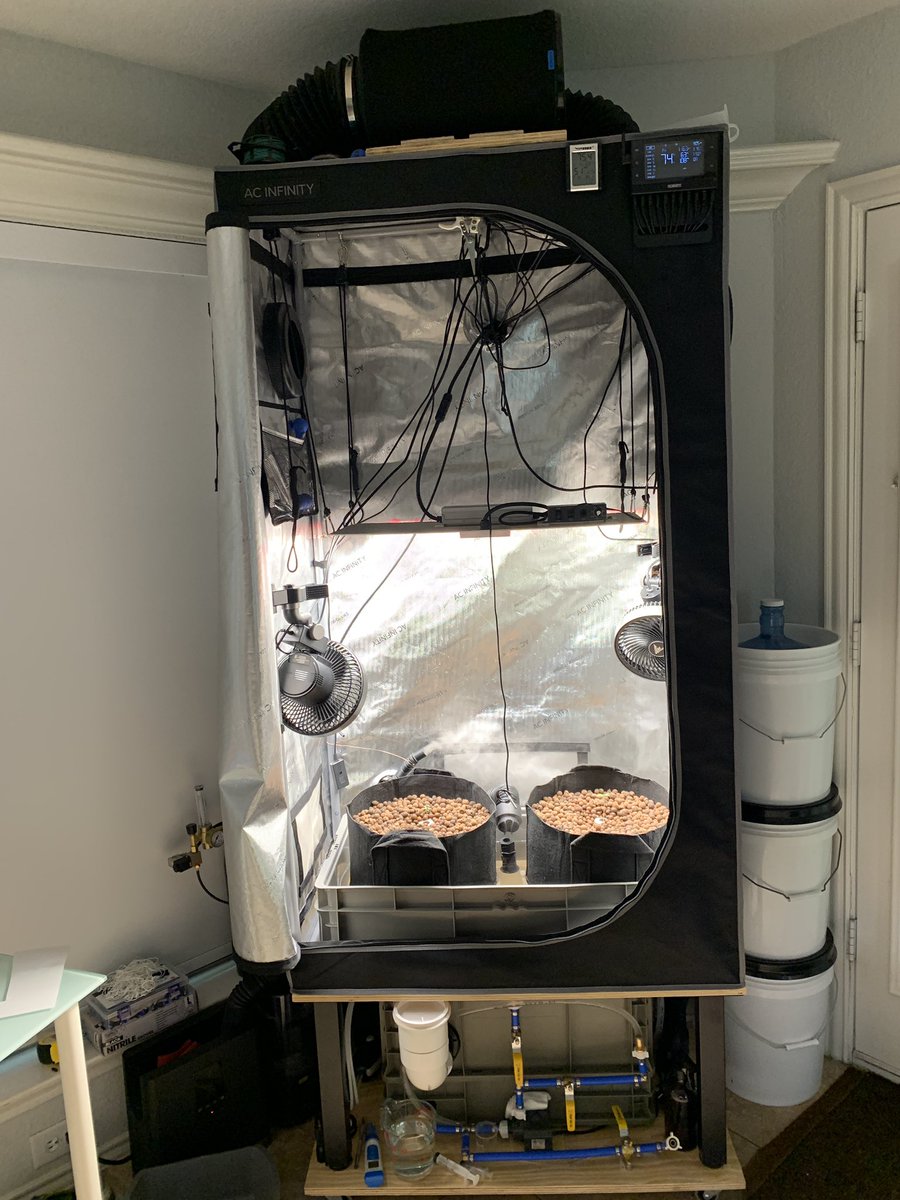 hodlsolo tweet media