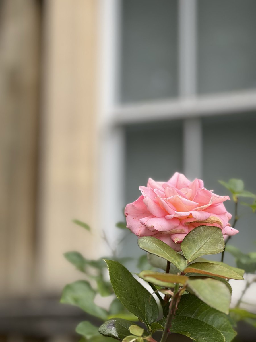 TourGuideTips1's tweet image. “Join the movement to put your town back on the map.”
“Be part of #LocalFirst.”
“Help your area thrive.”

#MyStreetMatters, #FindLocal, #HiddenHighStreet #FridayFeeling