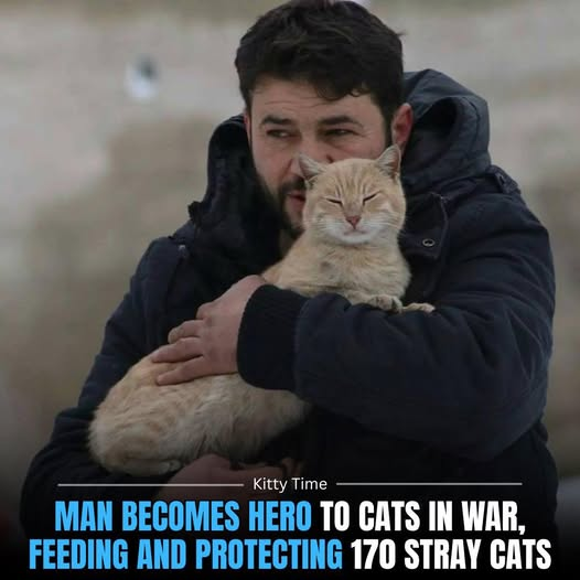 Jamila Qadir tweet media