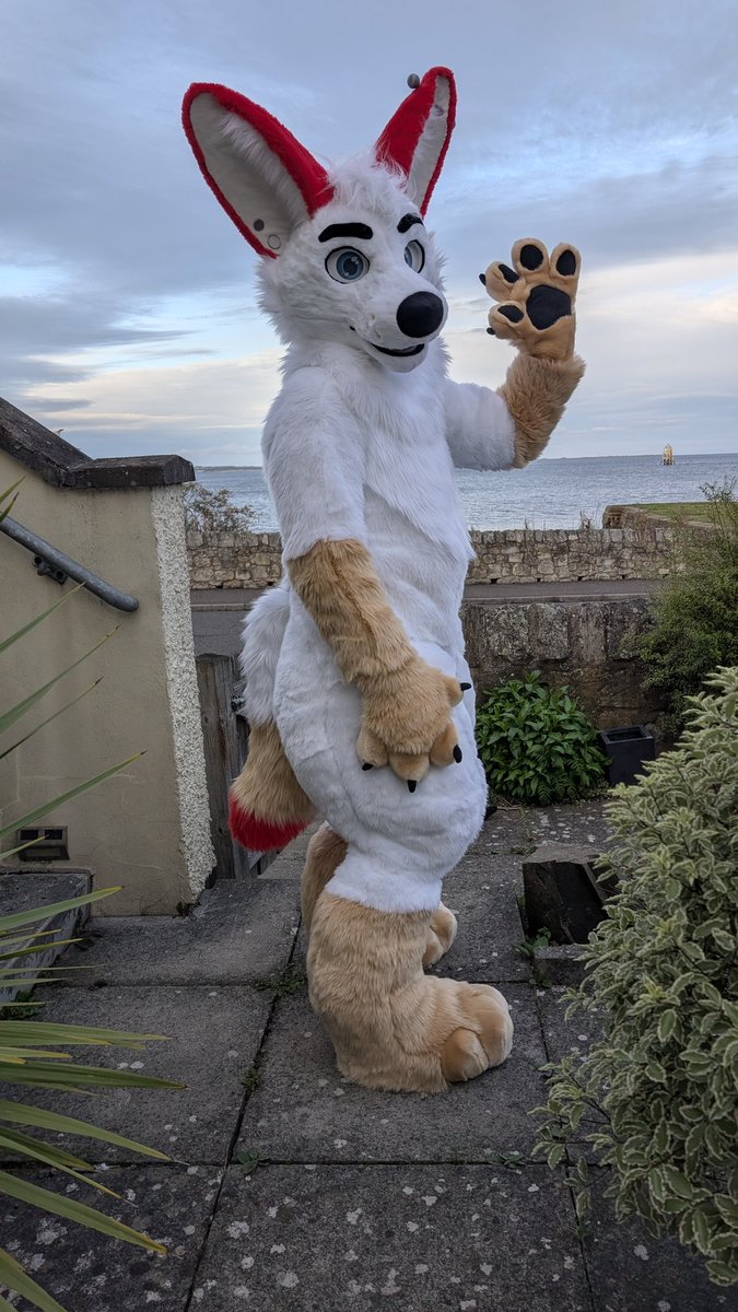CassiusRed's tweet image. Happy #FursuitFriday from the newest member of the Cassius Crafts family, say hello to @aredkit ❤️🦊