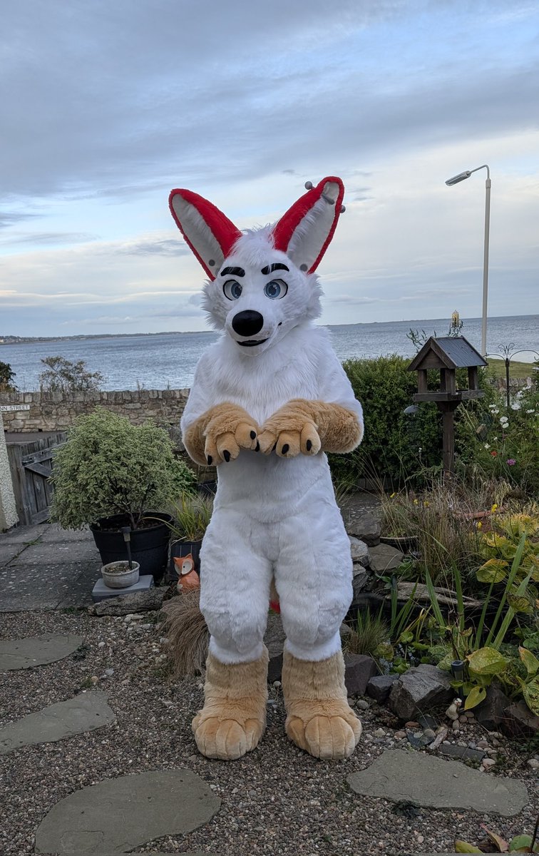 CassiusRed's tweet image. Happy #FursuitFriday from the newest member of the Cassius Crafts family, say hello to @aredkit ❤️🦊