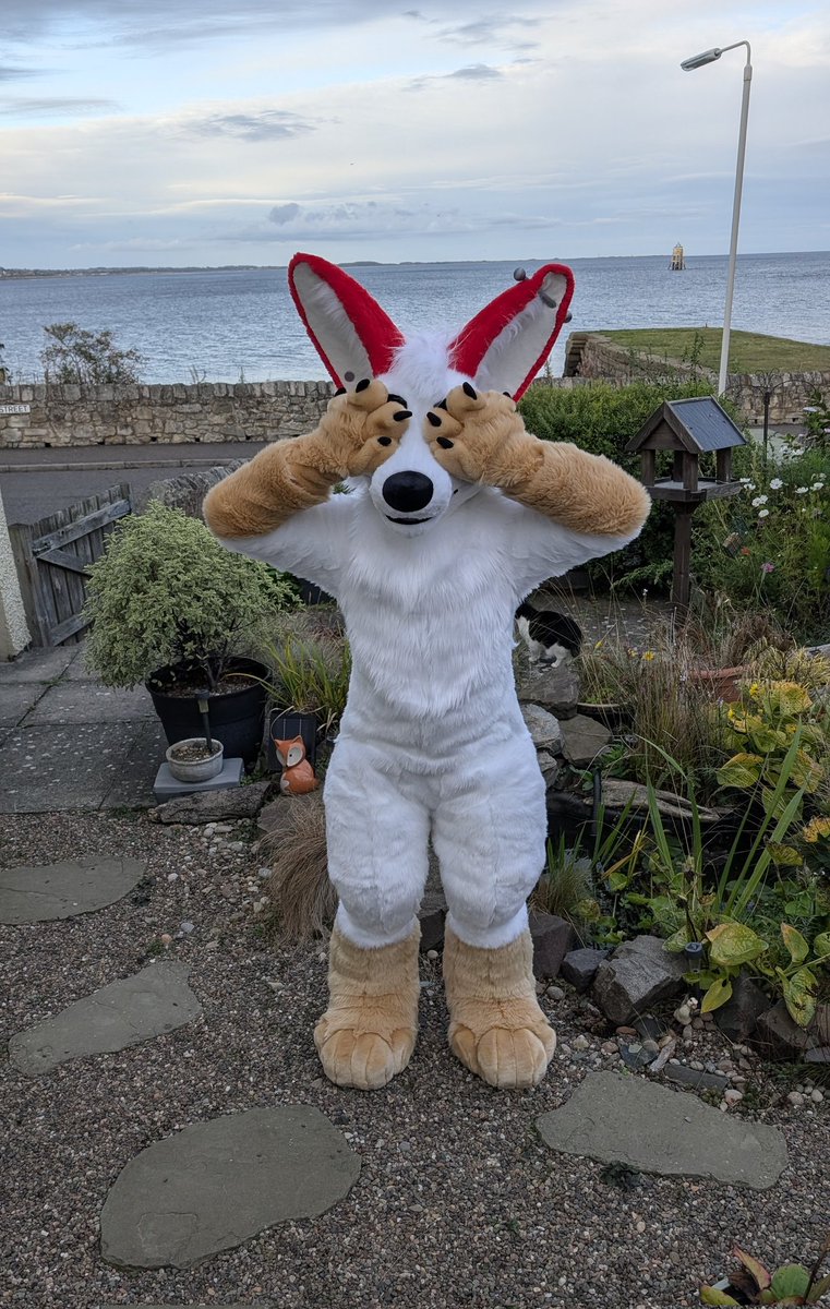 CassiusRed's tweet image. Happy #FursuitFriday from the newest member of the Cassius Crafts family, say hello to @aredkit ❤️🦊