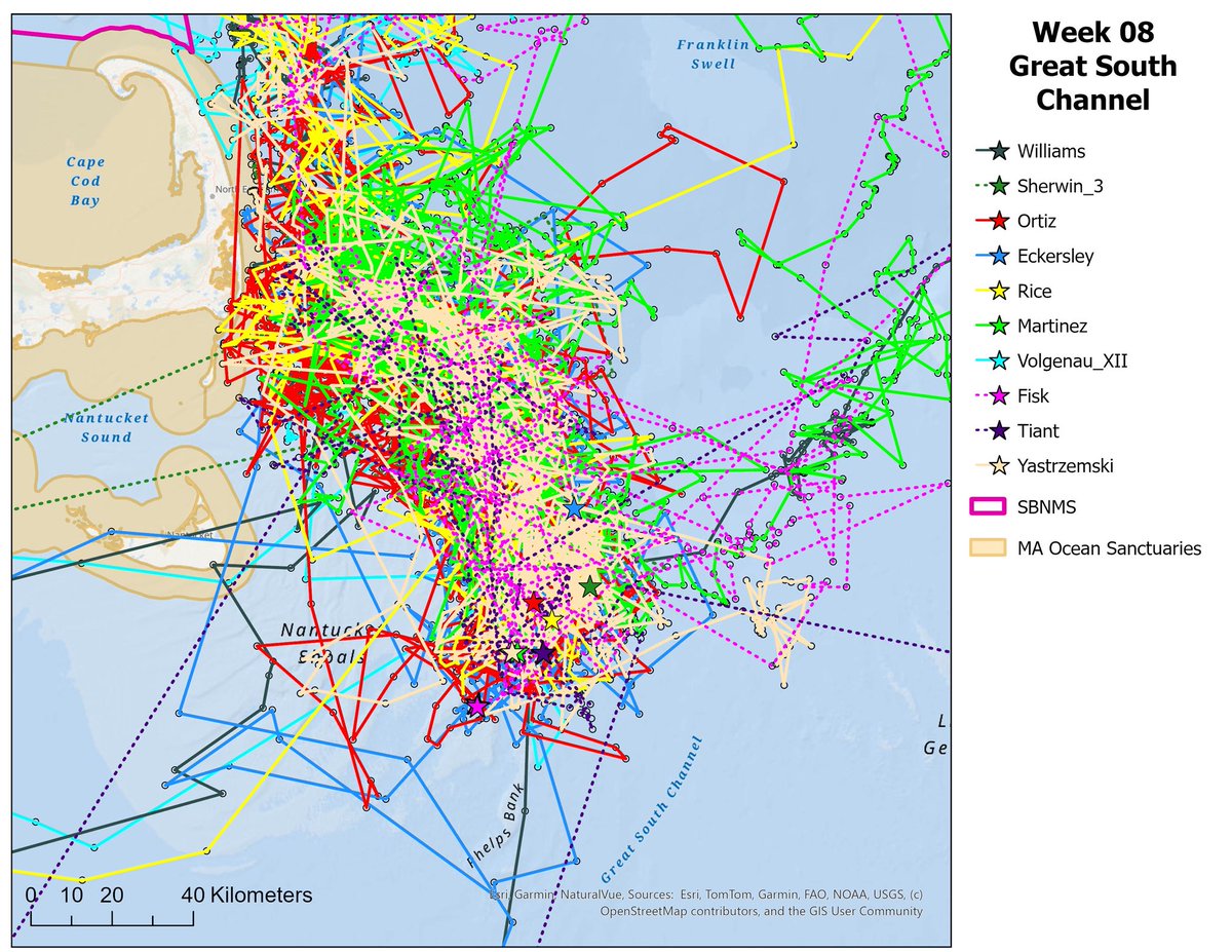 NOAA Stellwagen Bank NMS tweet media