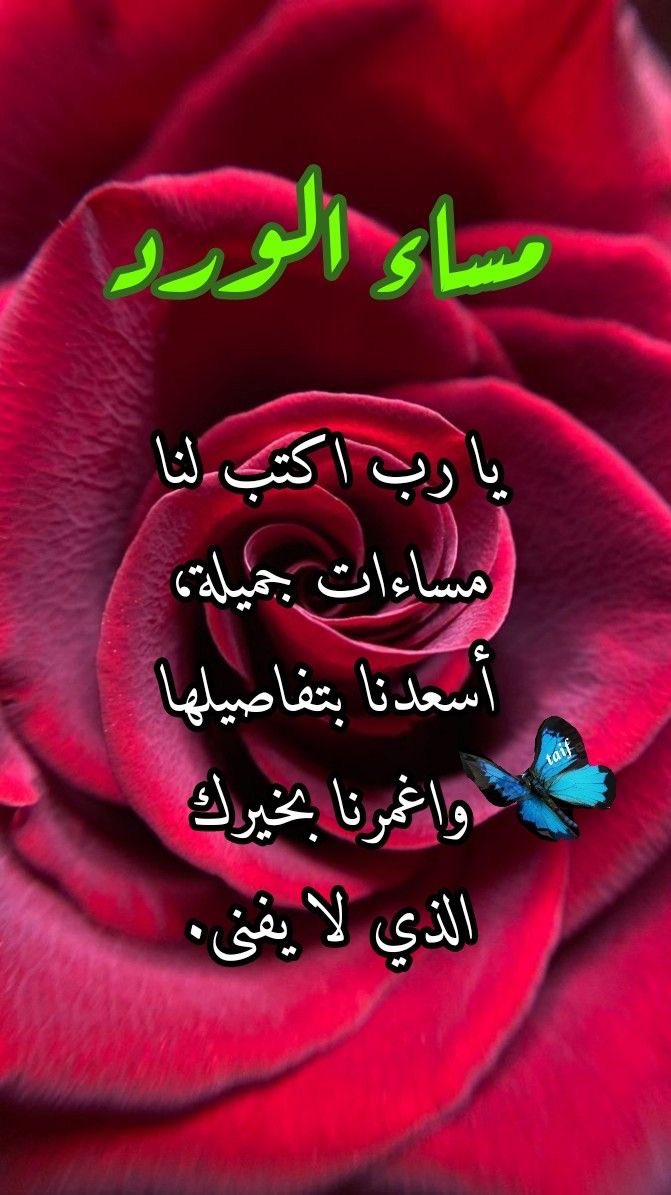 لا تندم يا صاحبي الحياة على وجهين
ولا انت سالم منها ام ذره او شاذوب
والرابح اللي راضي بالقدر في كل حين
واللي تذمر منها ما يسلم من العيوب