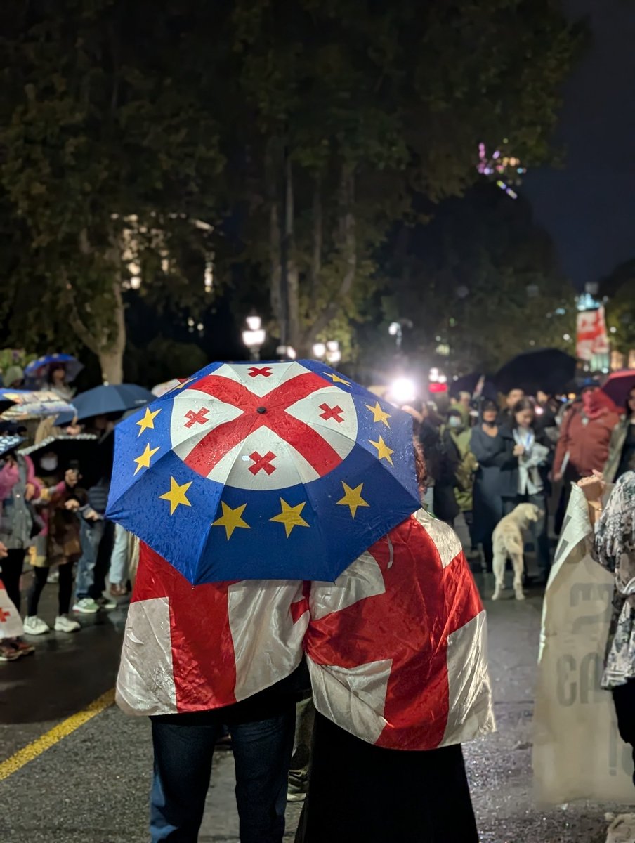 For the 296th day in a row, Rustaveli Avenue is blocked in Tbilisi. Protests continue in 8+ cities across Georgia. 🇬🇪