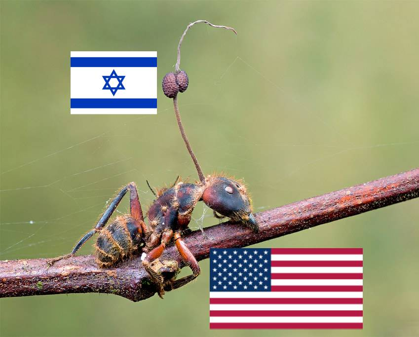 Udippuy's tweet photo. The current phase of the US-Israel relationship https://t.co/b6Z003zwUh