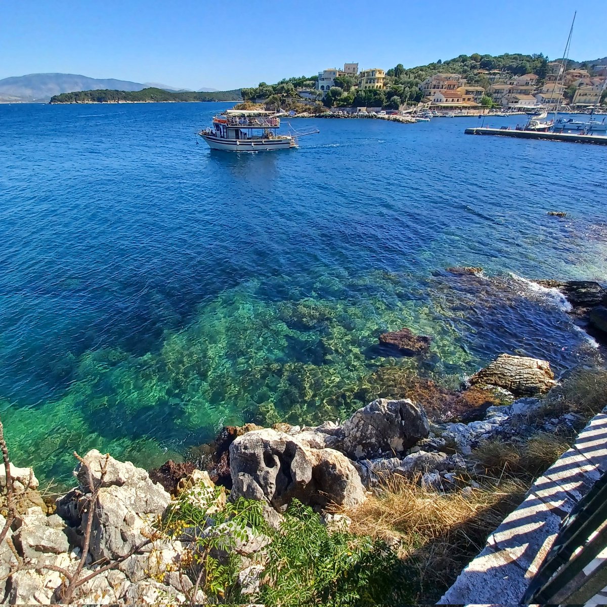 Sue Scott tweet media