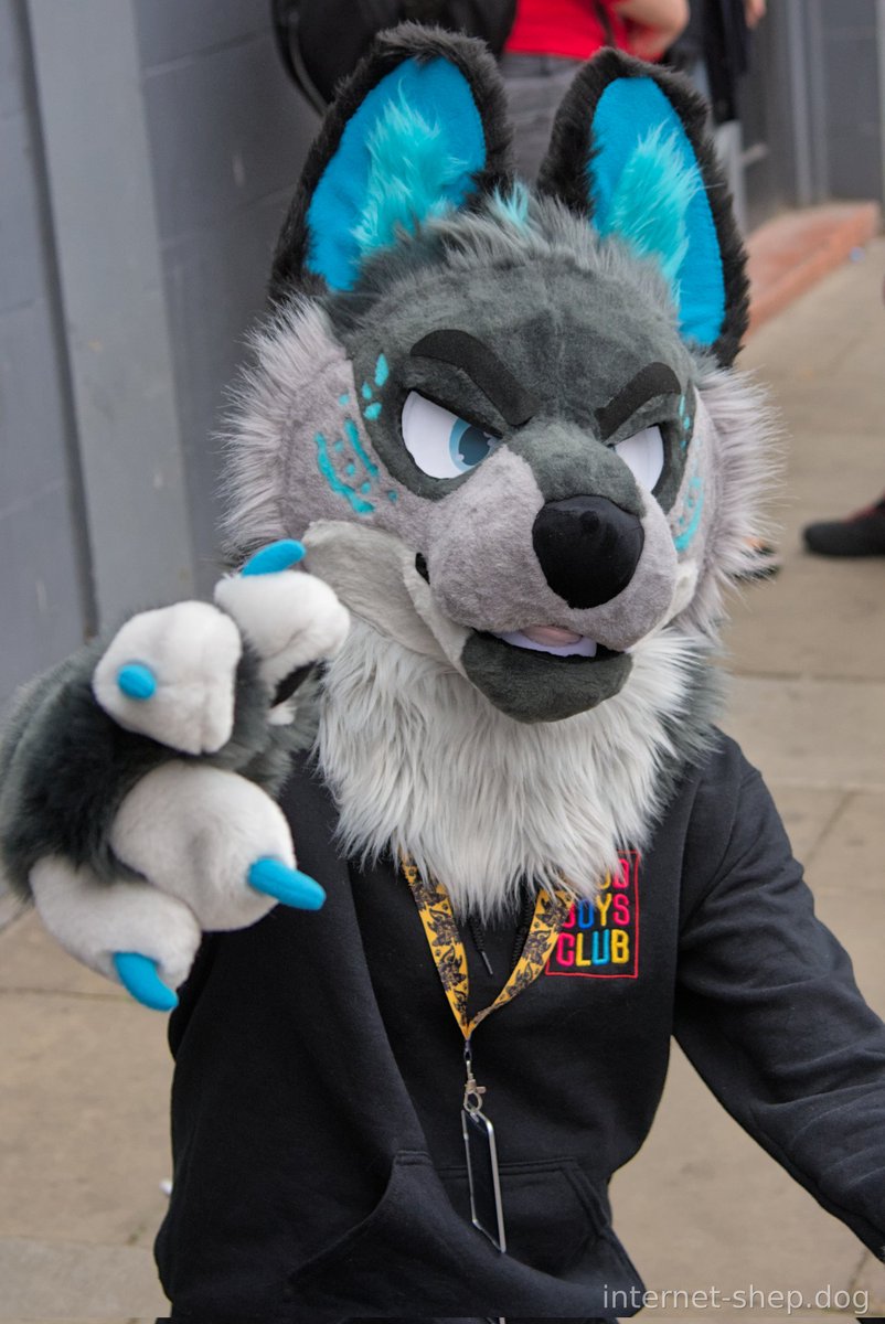 YOU will have a stellar #FursuitFriday

📸 <a href="/internet_shep/">The Shep Making The Internets Work</a>