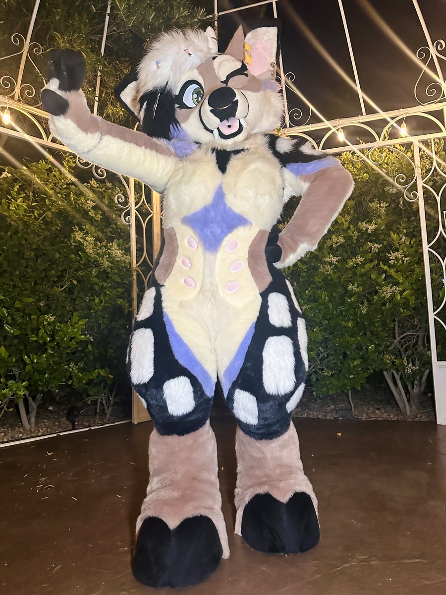 Starlight, Starbright ✨️