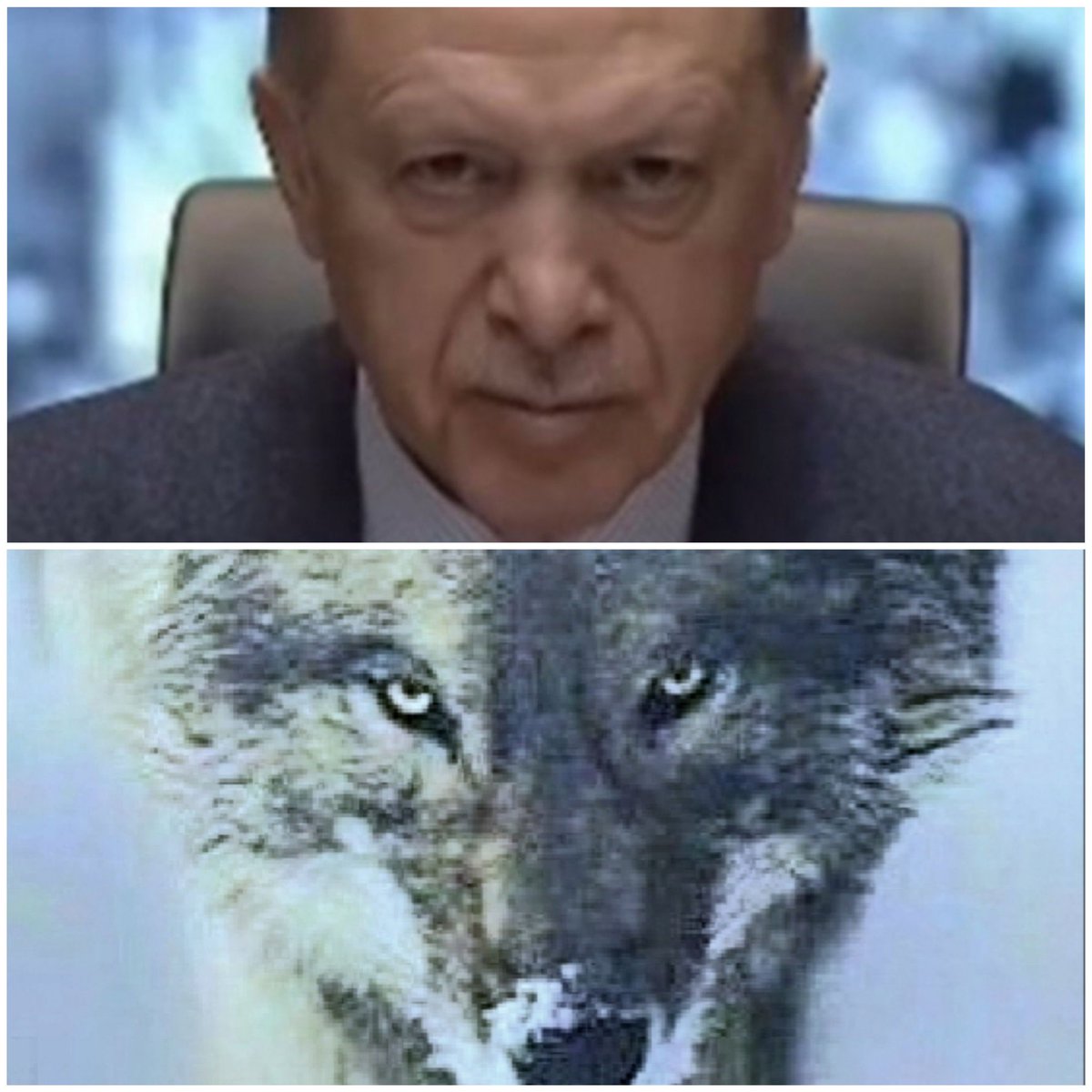 Değil size kitabeyi, Kudüsü Şerifin bir çakıl taşını bile vermem... R.T. ERDOĞAN