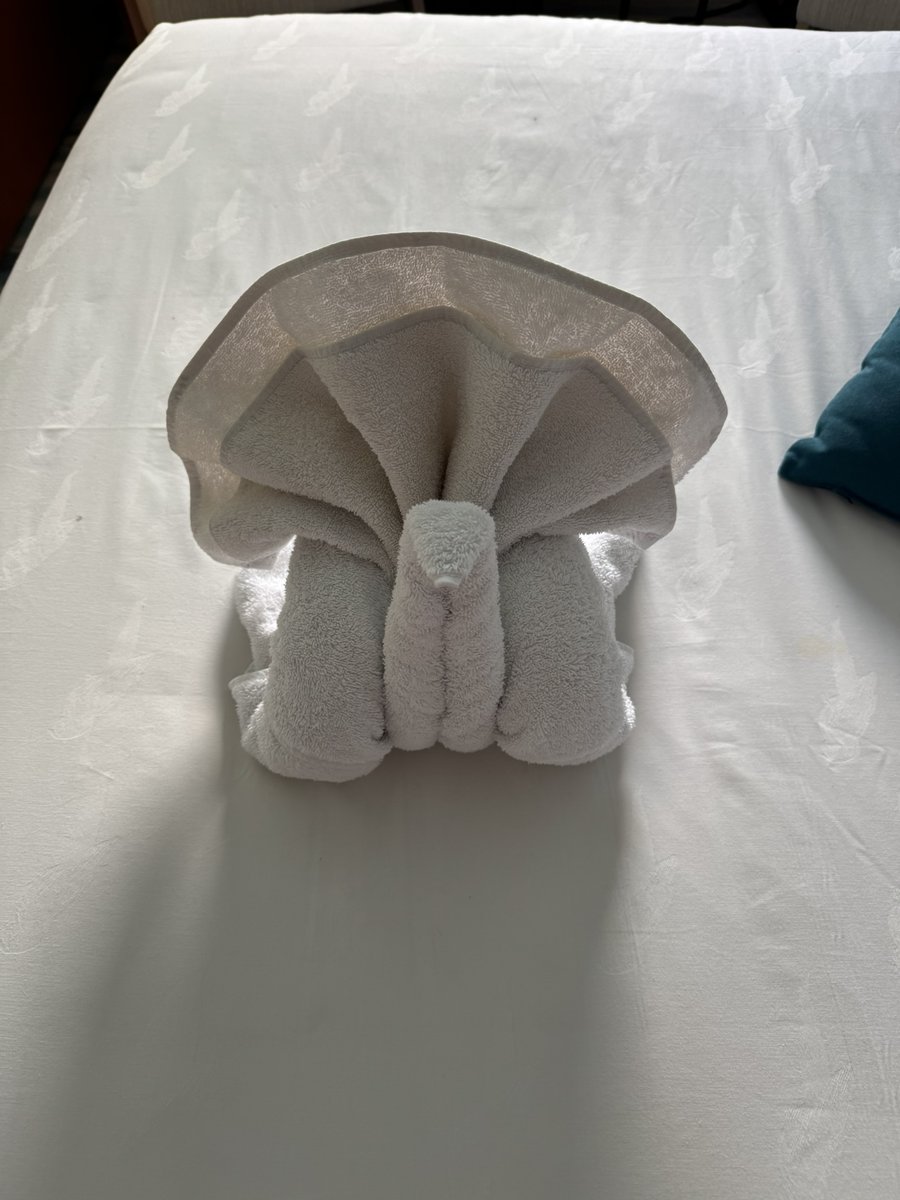 WavemastersGrp's tweet image. Can&apos;t forget your little towel friends.  #cruise #cruisebrothers #wavemasters #vacation #travel #getaway #inclusive #island #ocean #relaxing #Margaritaville #Margaritavilleatsea