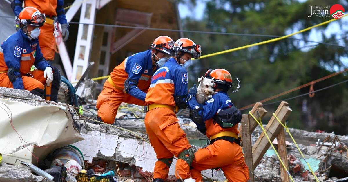 ¡Amigos en la adversidad, cuates de verdad! 🇯🇵🤝🇲🇽
Hoy se cumplen 40 años de los sismos de 1985 y 8 años del de 2017
🇯🇵 y 🇲🇽 al tener desastres naturales en común se apoyan en momentos difíciles, un ejemplo es el CENAPRED que se estableció con la ayuda financiera de Japón en 1990