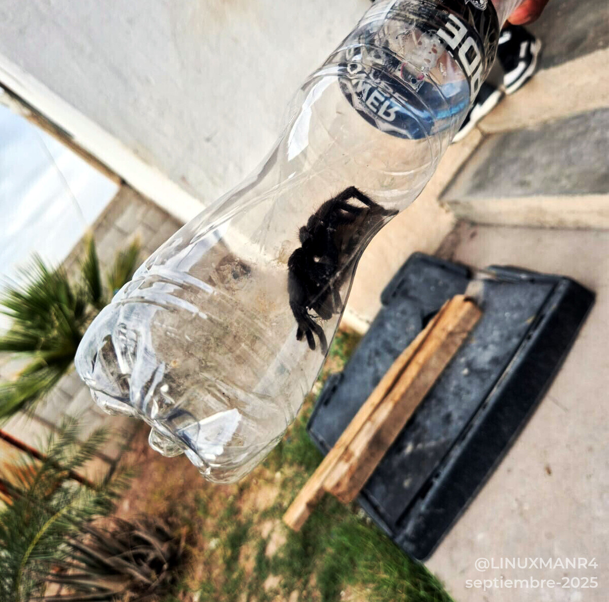 ¡Ah jijoooo! esta es la chabela de la tucita !!!