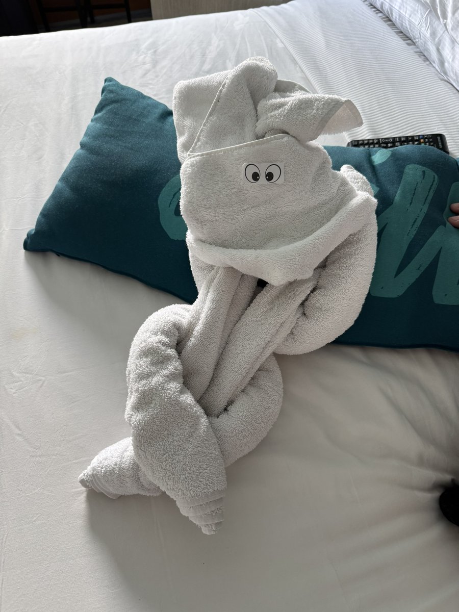 WavemastersGrp's tweet image. Can&apos;t forget your little towel friends.  #cruise #cruisebrothers #wavemasters #vacation #travel #getaway #inclusive #island #ocean #relaxing #Margaritaville #Margaritavilleatsea