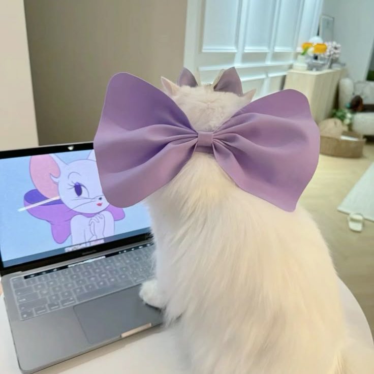 𓆩♡𓆪 tweet media