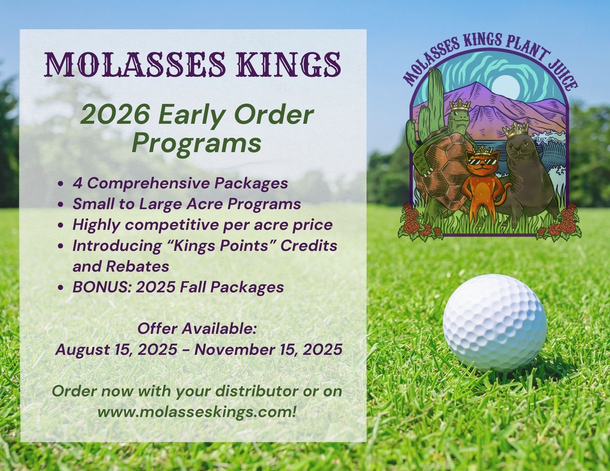 Molasses Kings tweet media