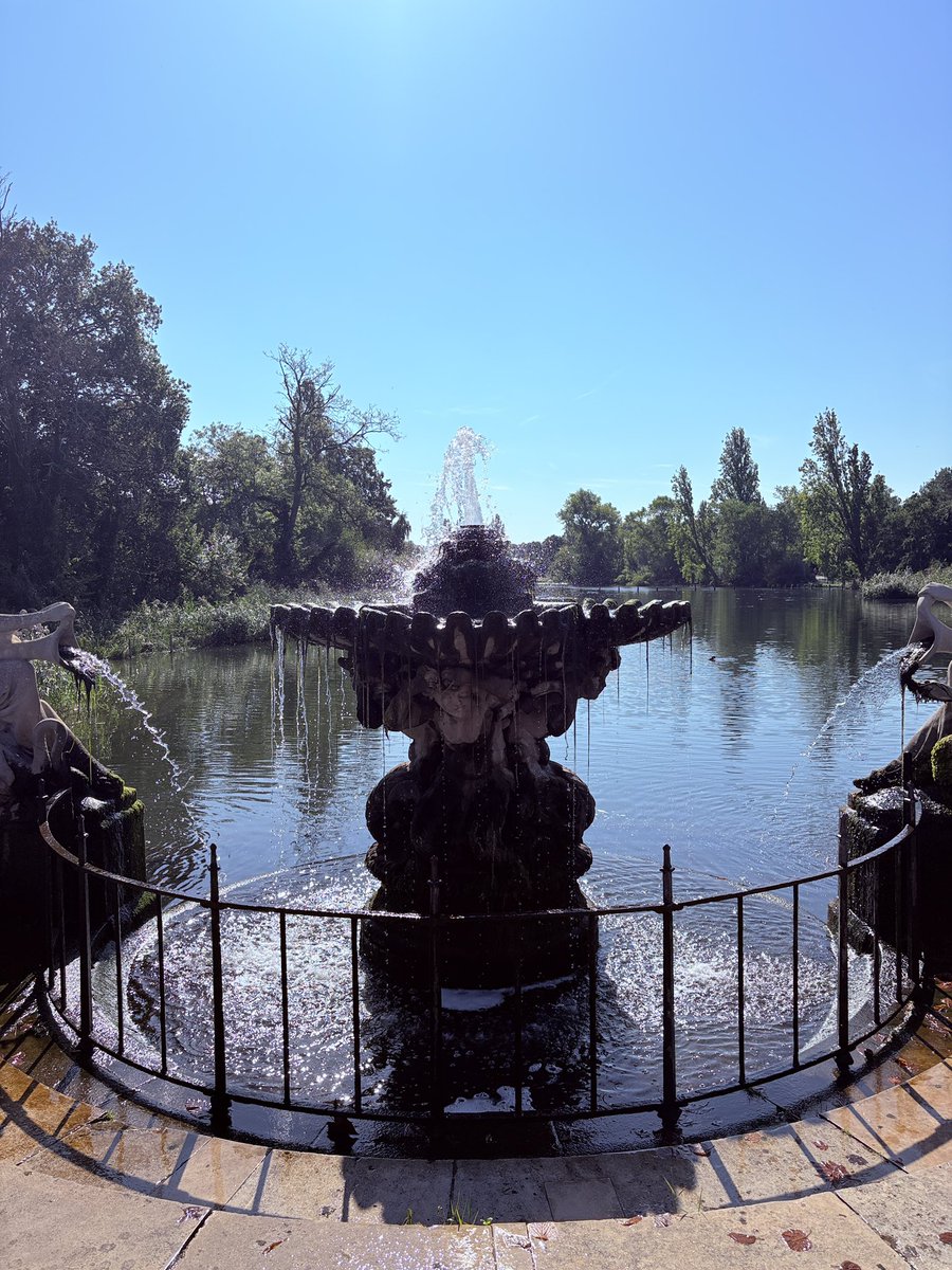 Demoiselle Du Ciel tweet media