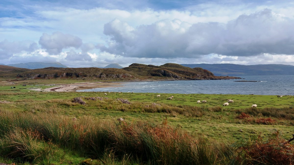 James Westland 🏴󠁧󠁢󠁳󠁣󠁴󠁿🇪🇺 ⚒️ tweet media