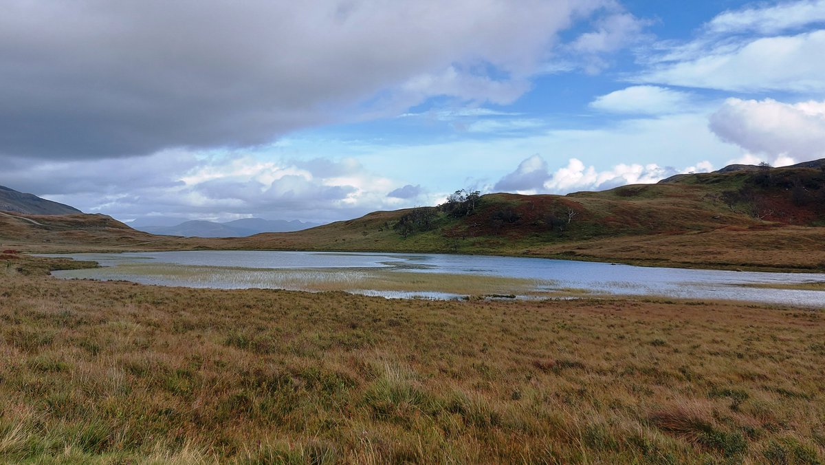 James Westland 🏴󠁧󠁢󠁳󠁣󠁴󠁿🇪🇺 ⚒️ tweet media