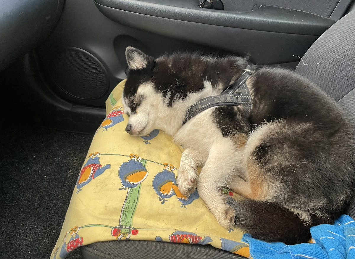 Тоже планирую усиленно спать все выходные, как эта профессиональная модель сна на предоставленной иллюстрации