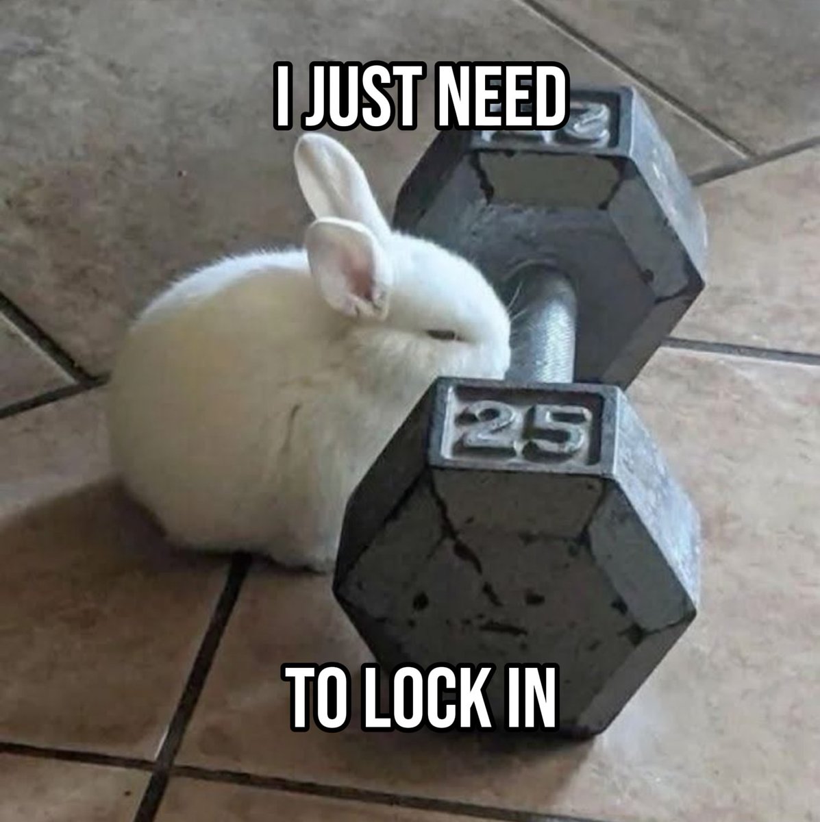 MikesAMiner (@mike81tv) on Twitter photo 