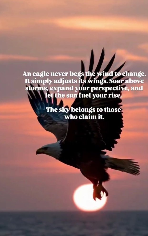 Faran_Champion's tweet image. ↔️Today Report

⏹️Daily=693 pips

🟢Monthly =6607 pips

⏺️Yearly(from May) =21519 pips

Enjoy weekend Champions 🟢
FC. 

#USDJPY  #EURUSD #PIPSDONE 
#GOLD #XAUUSD #Trump #FinanceTips