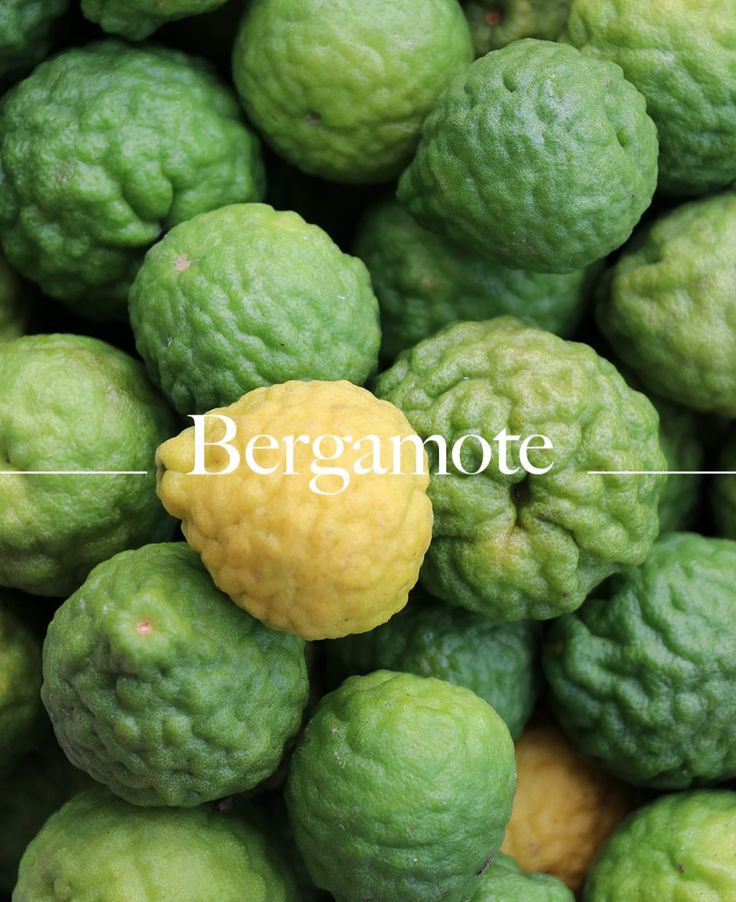 saposparfums's tweet photo. [THREAD: Ces Notes emblématiques de la parfumerie] –  La Bergamote 
🧵 https://t.co/J8fktxFYAh