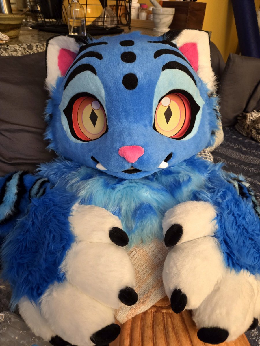 ✨️ Grothe! ✨️ ➡️ Moved to Bluesky! (@pinkflyingboar) on Twitter photo DERPY FURSUIT IS HERE!! 💫🐯🔵 Thanks a million to maker <a href="/mjn09369549/">Labyrinthmaze</a> for doing such an incredible job on this adorable fella, and I'm stoked to be suiting up for SacAnime Winter!
(More pics of the suit on 🔵☁️ soon!)
#kpdh #KPOPDEMONHUNTERS DERPY FURSUIT IS HERE!! 💫🐯🔵 Thanks a million to maker <a href="/mjn09369549/">Labyrinthmaze</a> for doing such an incredible job on this adorable fella, and I'm stoked to be suiting up for SacAnime Winter!
(More pics of the suit on 🔵☁️ soon!)
#kpdh #KPOPDEMONHUNTERS