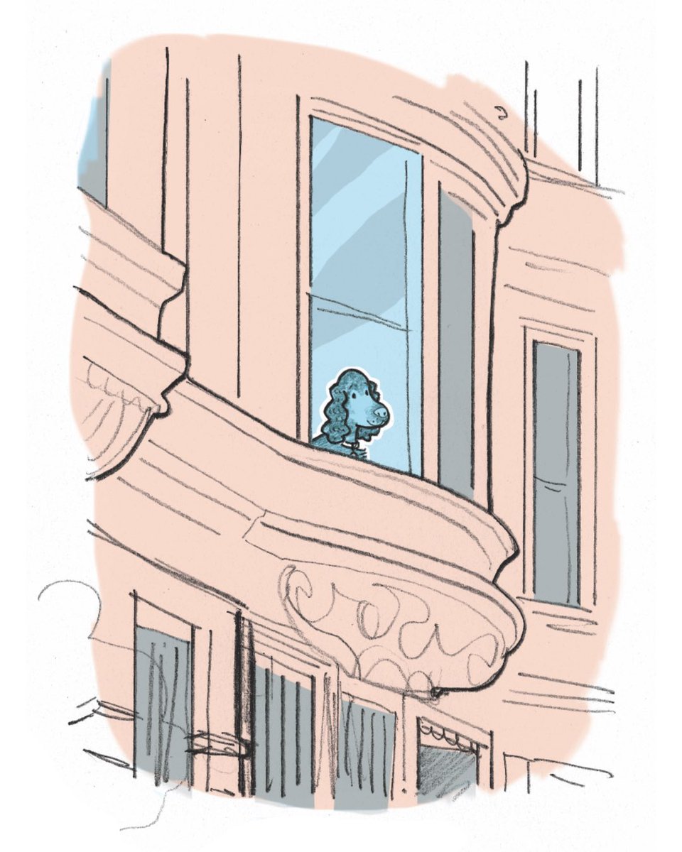 The news is so discouraging. Here, have an adorable dog. 🐶 From my book NY DOGS. #violetlemay #illustration #illustrator #amwriting #dogs #freespeech
