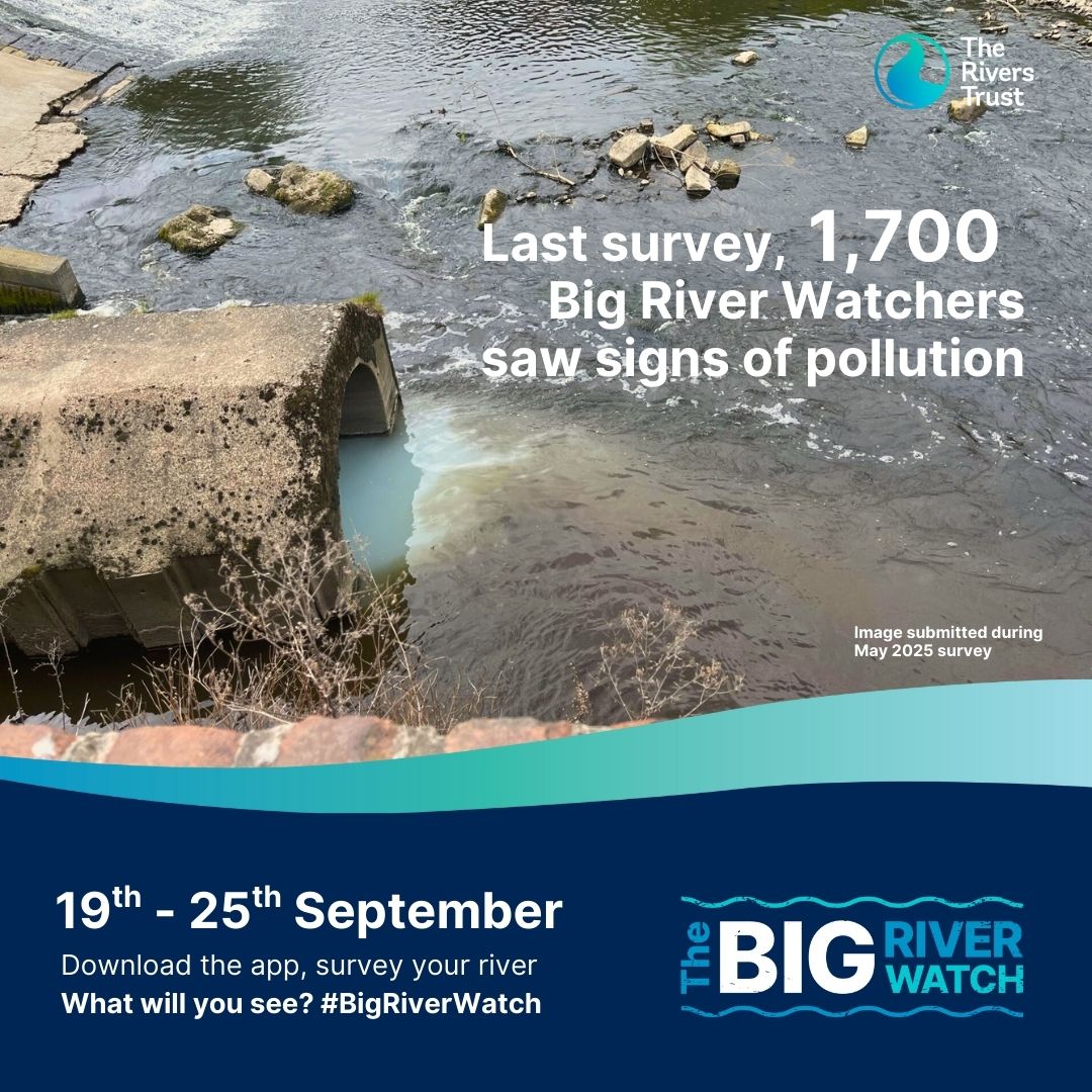 Calder Rivers Trust tweet media