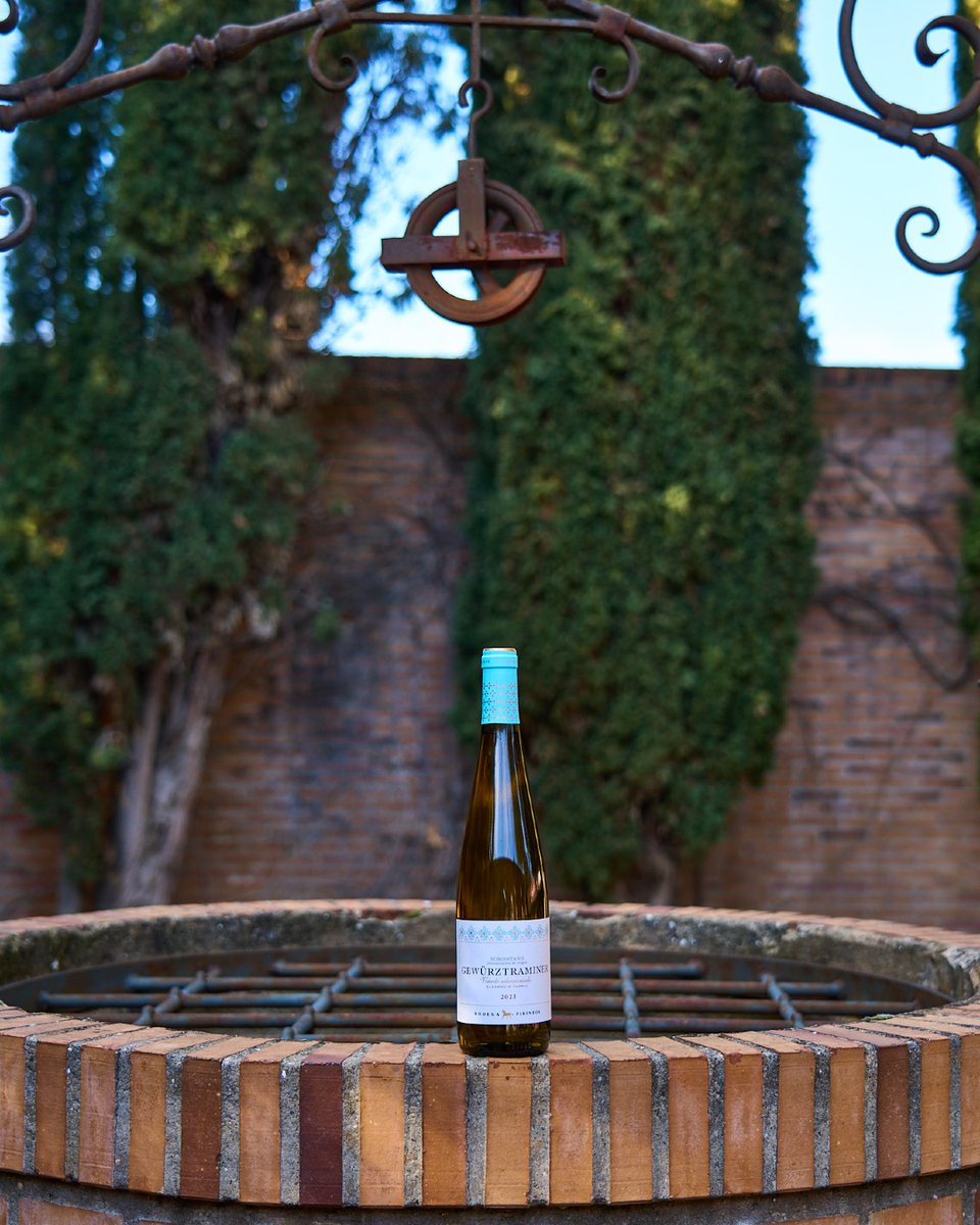 ✨ Gewurztraminer Pirineos: ¡un blanco que rompe las reglas!

#dosomontano #gewurztraminer #bodegapirineos #aroma #huesca #barbastro #bouquet #vinoblanco #winelovers