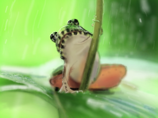 ArlukarT tweet media