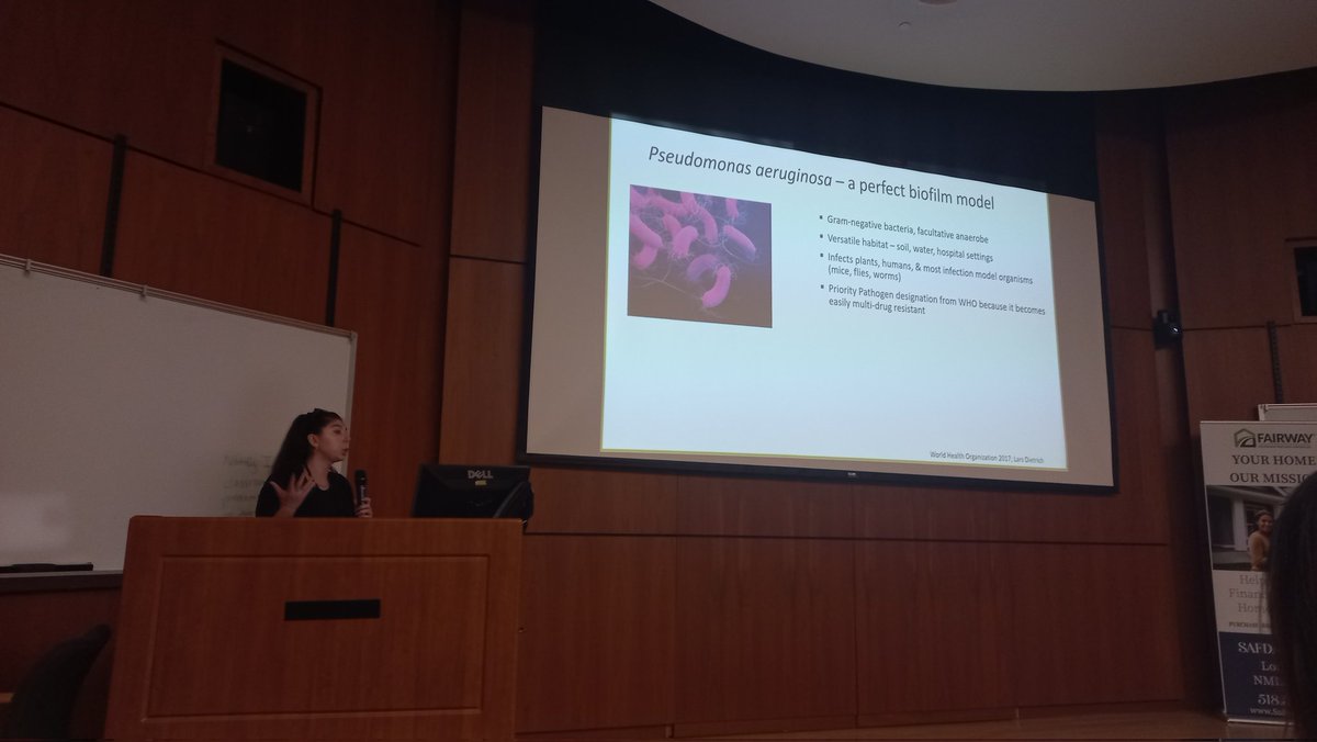 CapDistPostdocs's tweet image. Our afternoon session starts with Dr. Alicia Mendoza, her research focuses on bacterial biofilms!