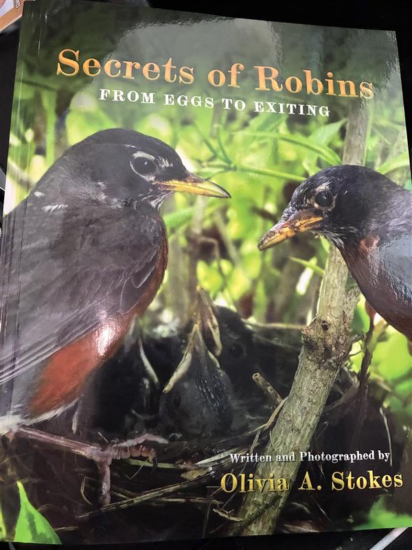 RepJFleming's tweet image. Congratulations to Miss Oliva Stokes, a high school senior who wrote and photographed a book entitled Secrets of Robins: From Eggs to Exiting. This is a wonderful peek into the world of ornithology, and I commend her on this amazing achievement as a published author!