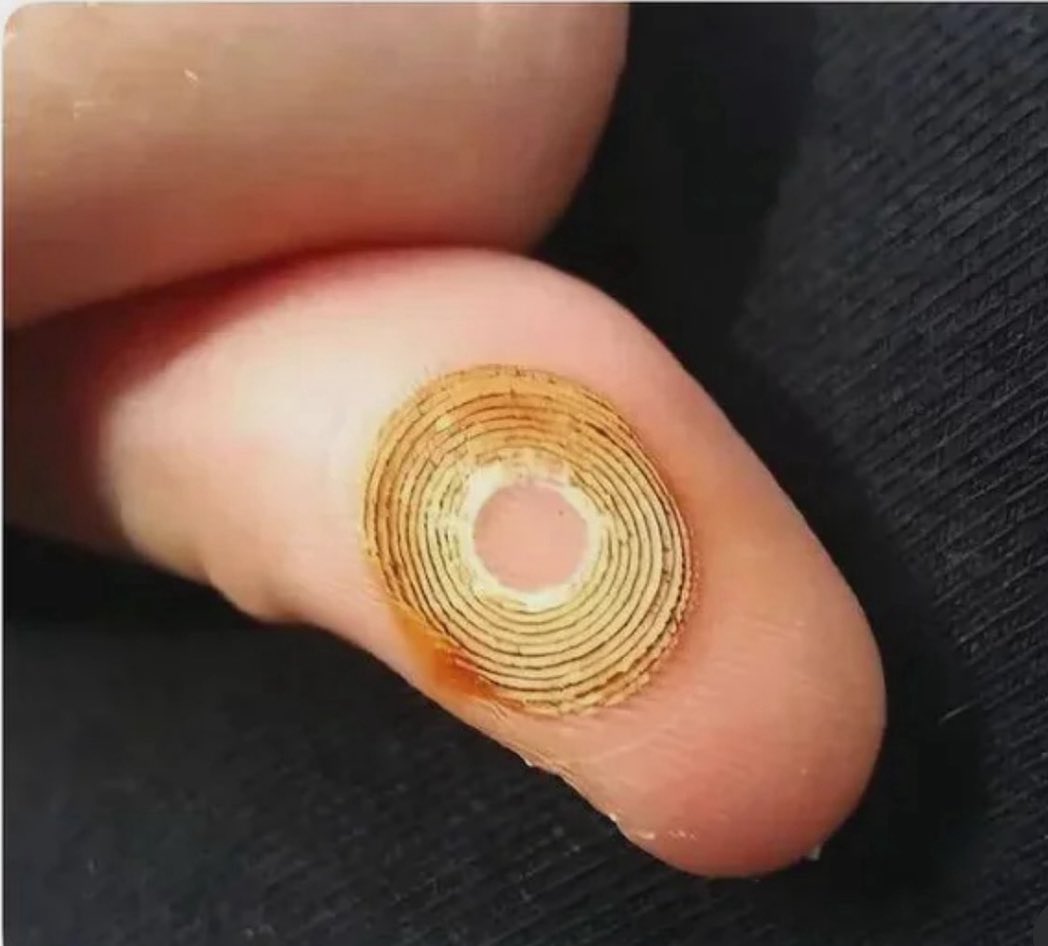 PlasticGirl1776's tweet image. Democrats, this is where you are, please stop the madness. Learn something!