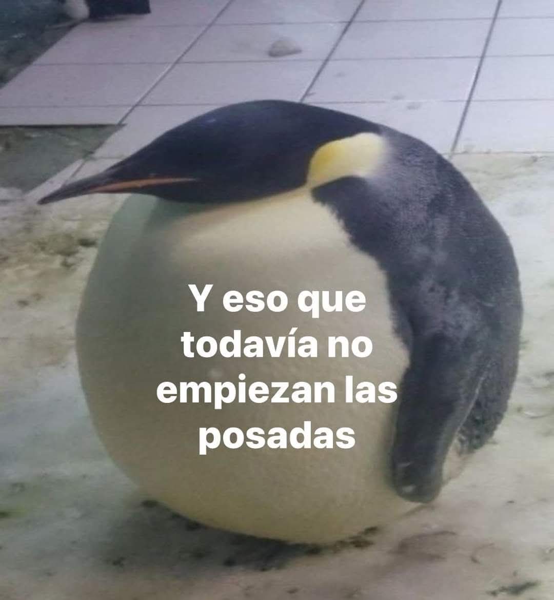 Animalesaprieto's tweet photo. https://t.co/67elPeZuuQ