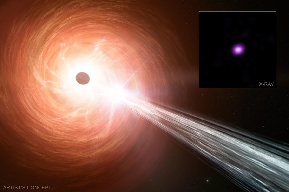 NASA_Marshall's tweet image. NASA’s @chandraxray just spotted a black hole growing way faster than expected, at 2.4 times the normal limit. 🕳️
Located 12.8 billion light-years away, it’s helping scientists rethink how early black holes formed >> go.nasa.gov/46IyUWG