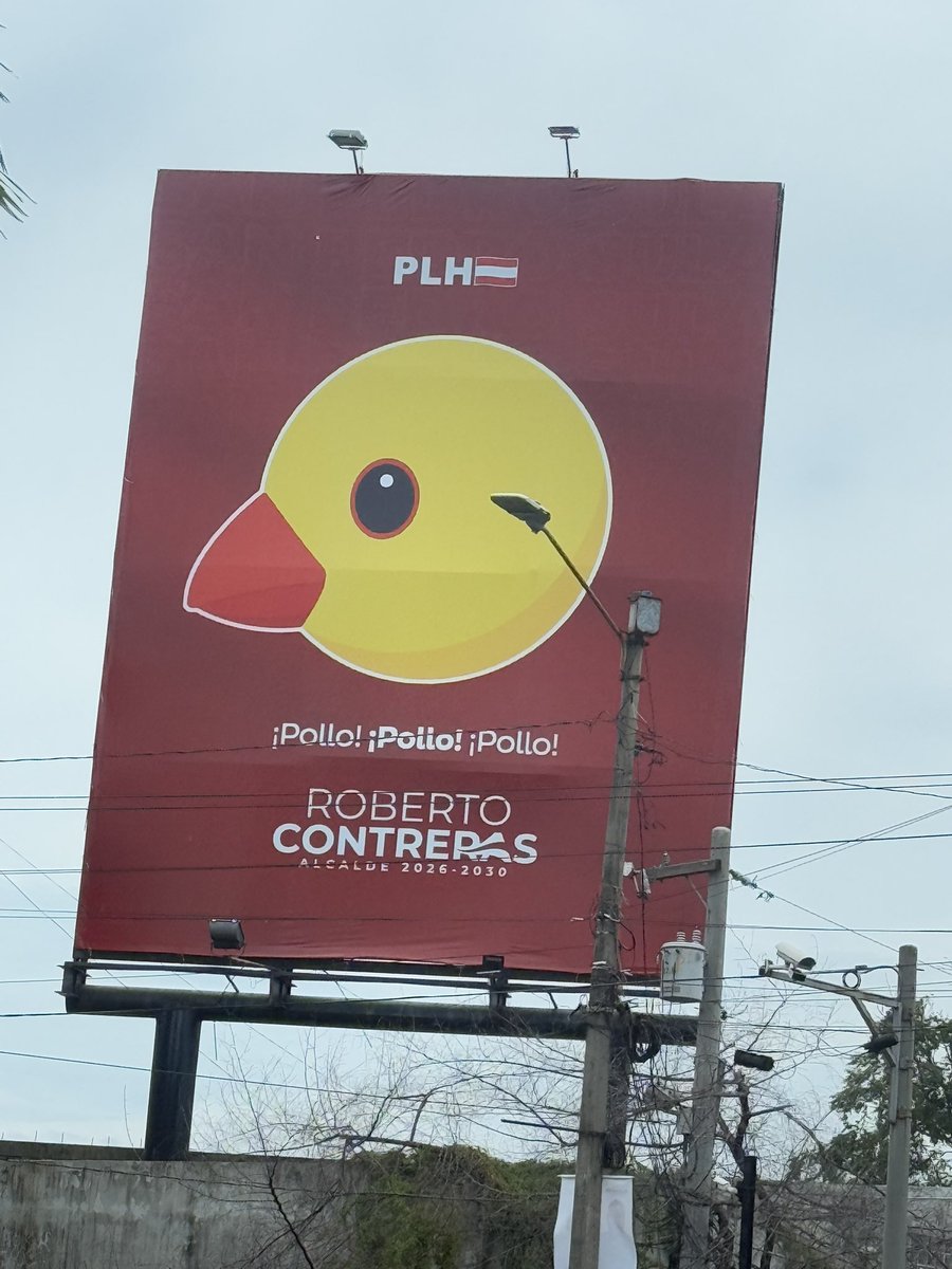 En SPS no hay vallas de Narrarlla. El único “candidato” que se ve es un 🐔 que extorsiona a empresarios. El pollo no apoya a Nasrralla como candidato Presidencial… el pollo lo va a vender. Lleva el mismo patrón que le hizo a Calix en las internas. POLLO TRAICIONERO LADRÓN