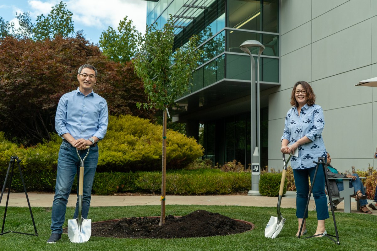 Samsung_RA's tweet photo. Celebrating 10 amazing years of Samsung at our Mountain View Campus. From tree planting to cake cutting, and inspiring words from leadership - it was a day to remember. Here's to the next decade! #LifeatSRA #Samsung #10Years #MountainView https://t.co/MOarlztfA0