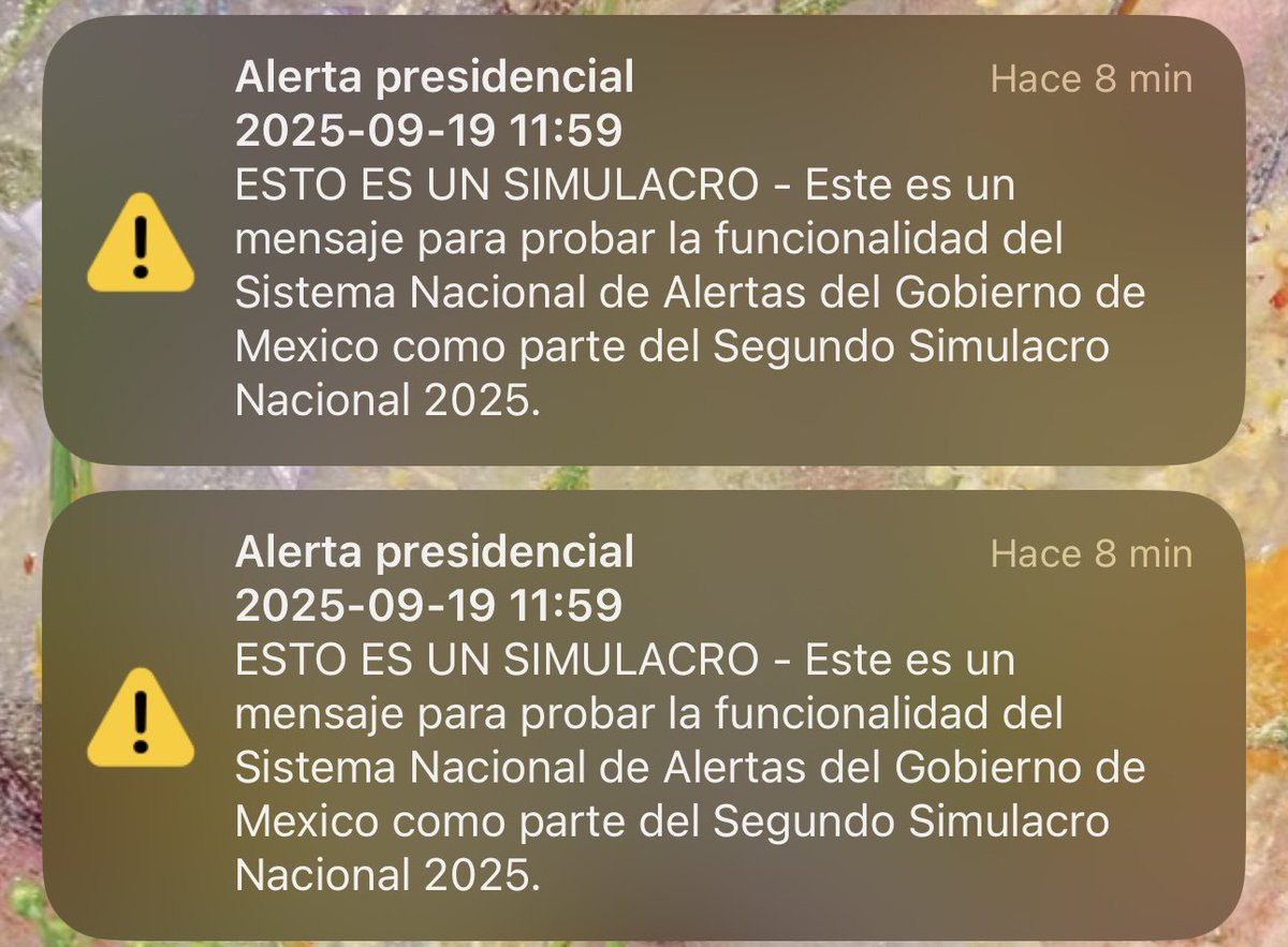 GiaKushOficial tweet media